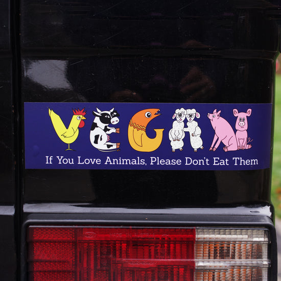 Vegan Animal Lover Bumper Sticker